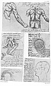 Plate CVIII