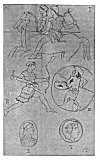 I.--AMAZONS FROM DEINOS (BOWL).<BR>
II.--COMBAT OF AMAZONS WITH ATHIC HEROES (BRITISH MUSEUM).<BR>
III.--AMAZON CHARGING FROM KYLIX (BRITISH MUSEUM).<BR>
IV.--CAMEOS IN BRITISH MUSEUM.<BR>
V.--HEADS OF AMAZONS, SARDONYX (FROM BLARAS COLLECTION).